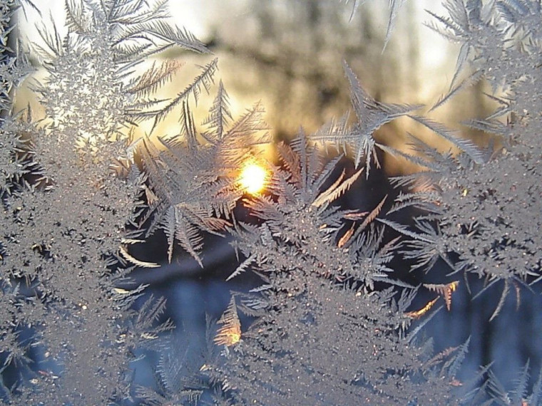 Посещение лицея в морозные дни❄⛄.